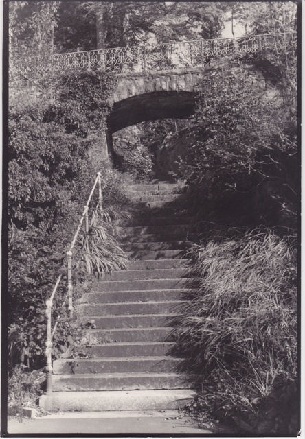 Treppe im Axenstein-Park